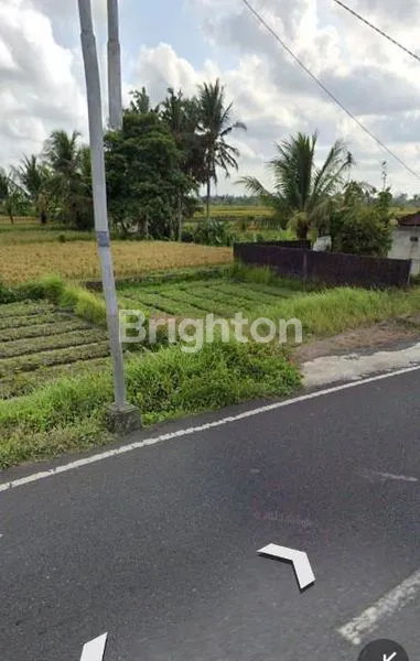 image TANAH JALAN RAYA ANGANTAKA 1,5 ARE HADAP SELATAN (6)
