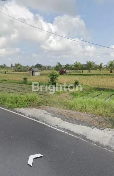 image TANAH JALAN RAYA ANGANTAKA 1,5 ARE HADAP SELATAN (7)