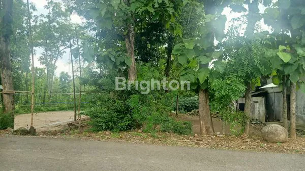 image TANAH MURAH MASARAN SRAGEN, BISA UNTUK DIBANGUN RUMAH ATAU GUDANG  (2)