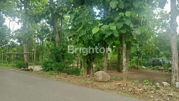 image TANAH MURAH MASARAN SRAGEN, BISA UNTUK DIBANGUN RUMAH ATAU GUDANG  (5)