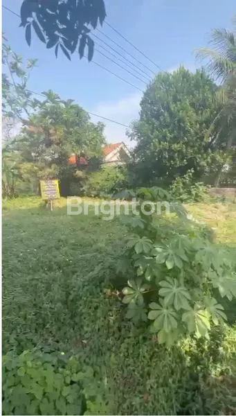 image TANAH 1035 M2 0 JALAN RAYA (2)