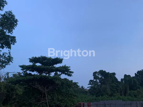 image DIJUAL TANAH LUAS & MURAH DI BALIKPAPAN SELATAN  (1)