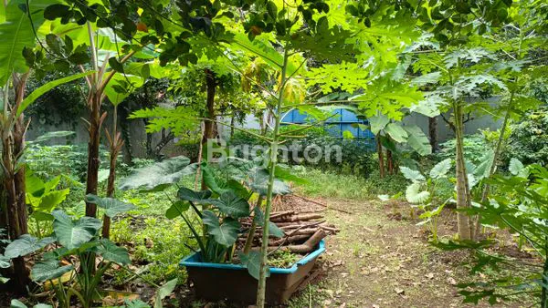 image HUNIAN NYAMAN DAN SEGAR DI BEKASI , BISA BUAT KUMPUL KELUARGA BESAR (5)