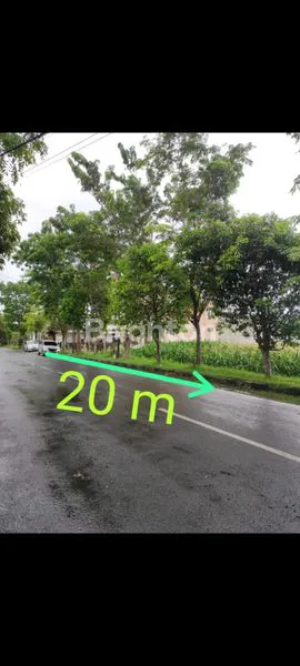 image TANAH SAWAH LUAS DAN PINGGIR JALAN RAYA  (1)