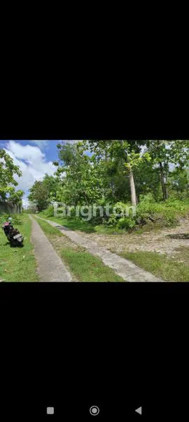 image TANAH LUAS DI BANTUL  (2)