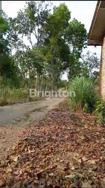 TANAH PETERNAKAN AYAM DI DAERAH SESEK PONGGOK BLITAR