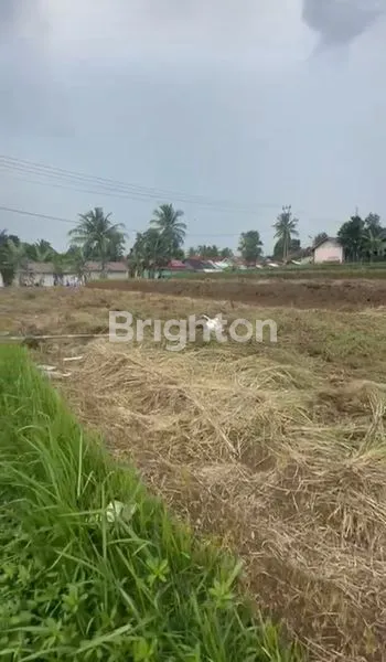 TANAH DI KAB. CIANJUR