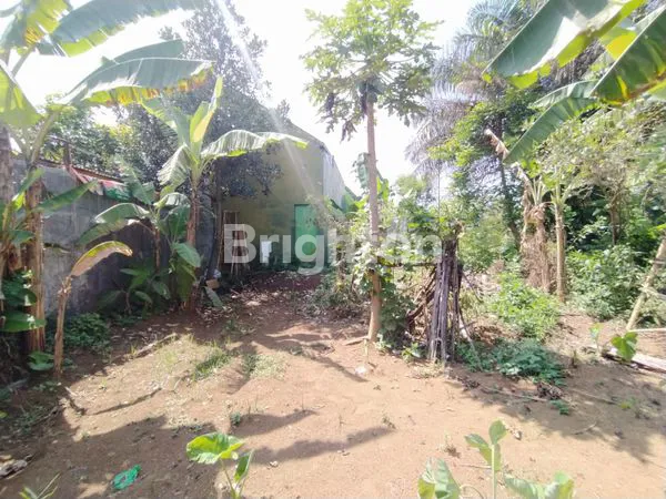 image RUMAH MINIMALIS DI SINGOSARI MALANG (8)