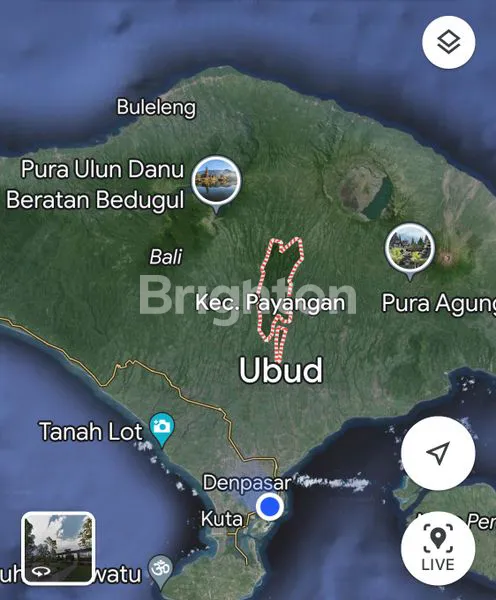 image TANAH KAV 157ARE DAERAH PAYANGAN VIEW BAGUS SAWAH UBUD GIANYAR (8)