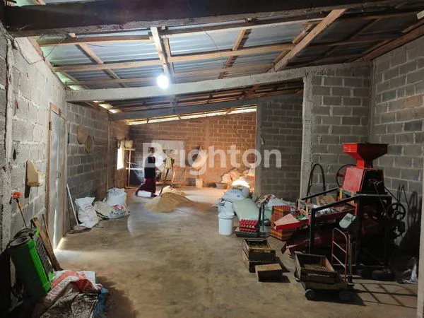 image BISA DIUTANG !! BISNIS PASTI UNTUNG TERNAK AYAM HARGA DI BAWAH PASAR!! (4)