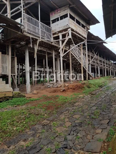 image PASTI CUAN !! BISA DISEKOLAHKAN LAGI !! PETERNAKAN MENGUNTUNGKAN !! (2)