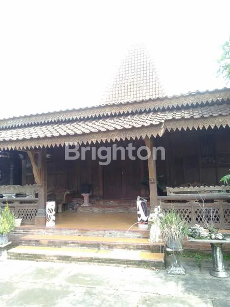 image RUMAH MAKAN MODEL JOGLO DI DENANYAR JOMBANG (3)