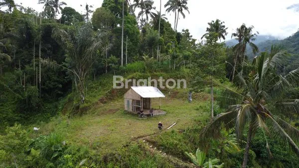 image TANAH KARANGASEM BALI (3)