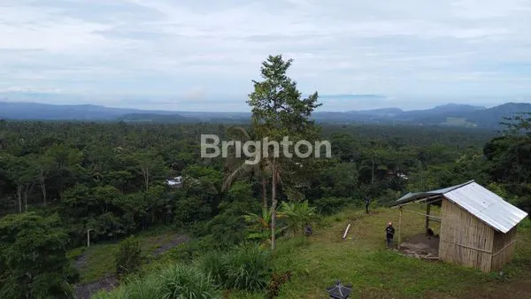 image TANAH KARANGASEM BALI (4)