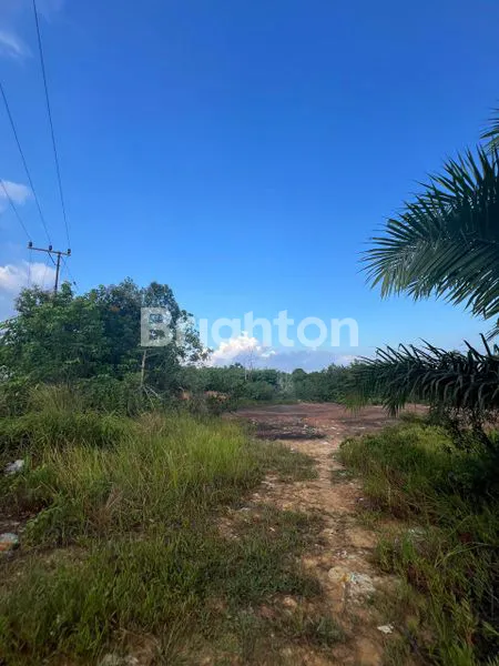 image DIJUAL TANAH IKN (2)