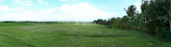 image TANAH MURAH TABANAN SATU JUTAAN (3)