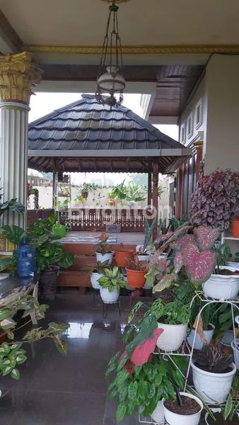 image RUMAH DUA LANTAI FULL FURNISH LOKASI ALANG ALANG LEBAR (5)