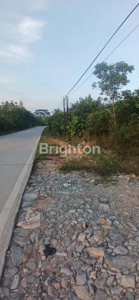 image TANAH DATAR STRATEGIS PINGGIR JALAN SIAP BANGUN COCOK UNTUK GUDANG , WORKSHOP DI KARIANGAU. (2)