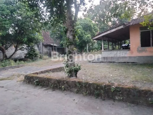 image TANAH PEKARANGAN AREA INDUSTRI BELAKANG PABRIK SGM PRAMBANAN (1)