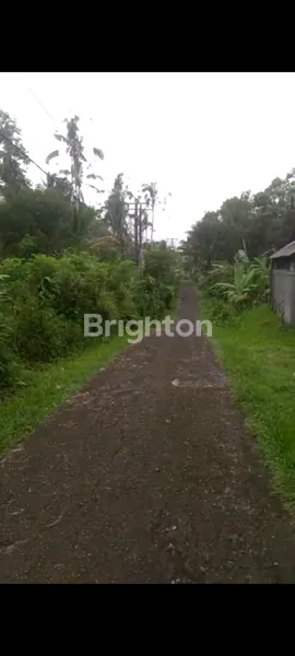 image TANAH LINGKUNGAN ASRI DI DESA SENGANAN TABANAN (2)
