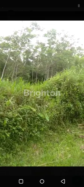 image TANAH LINGKUNGAN ASRI DI DESA SENGANAN TABANAN (4)