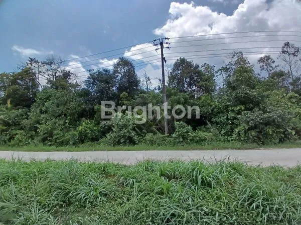 image DIJUAL TANAH/LAHAN PINGGIR JALAN POROS KILOMETER 13 PULAU BALANG COCOK DIBUAT GUDANG, WORKSHOP DAN INDUSTRIAL (1)