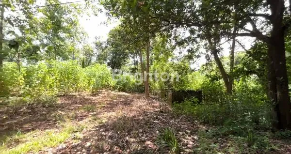 image TANAH SIAP PAKAI NIRANNUANG BONTOMARANNU GOWA (2)