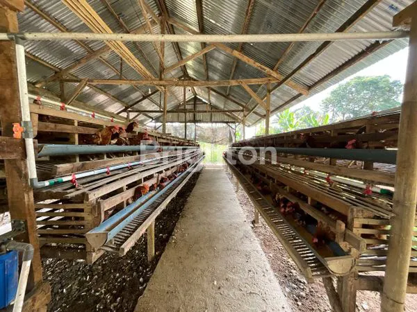 image TANAH SIAP PAKAI NIRANNUANG BONTOMARANNU GOWA (3)