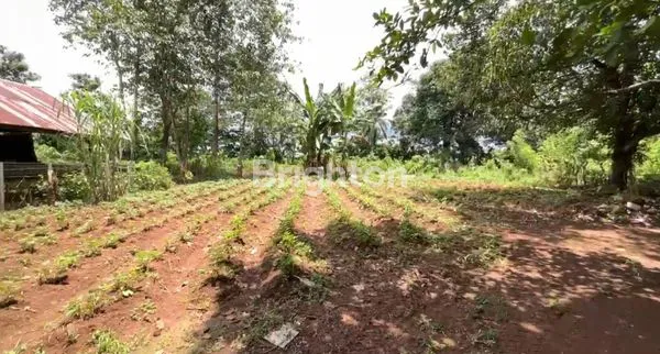 image TANAH SIAP PAKAI NIRANNUANG BONTOMARANNU GOWA (4)