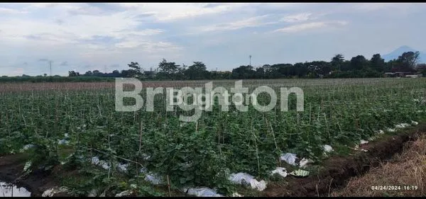 DIJUAL TANAH INDUSTRI WONOAYU