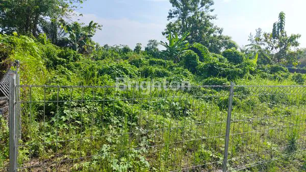 image TANAH BUNGA CEMPAKA 2 MEDAN SELAYANG (2)