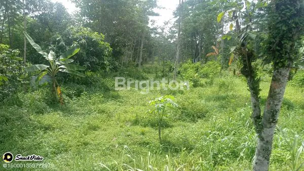 image TANAH HARGA MASIH MURAH (1)