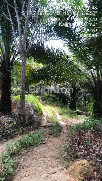 image TANAH SELUAS 7,5 HEKCTAR DI IKN (1)