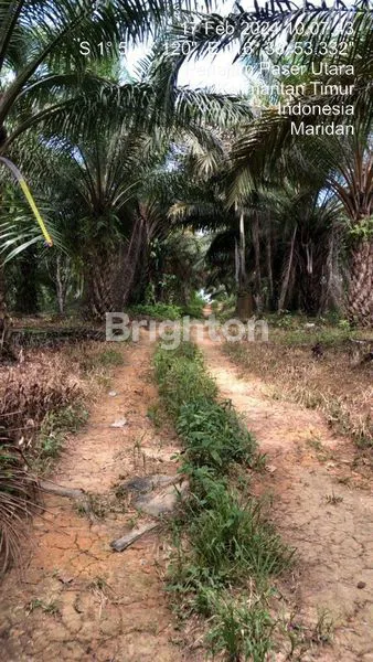 image TANAH SELUAS 7,5 HEKCTAR DI IKN (4)