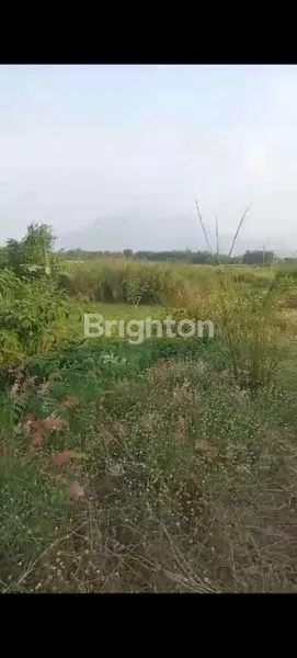 TANAH STRATEGIS, ZONA INDUSTRI, NOL JALAN PROVINSI, MOJOKERTO