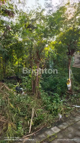 TANAH POSISI BAGUS DI GUNUNG CATUR