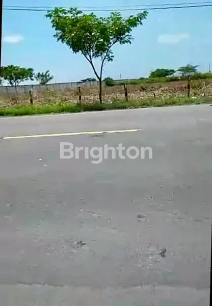 image TANAH NOL JALAN RAYA ZONA III INDUSTRI DI KAB. TUBAN KEC. WIDANG DEKAT LAMONGAN COCOK UNTUK PABRIK ATAU GUDANG KERAMIK, GYPSUM, BATU KAPUR, GENTENG, PUPUK, DLL (2)