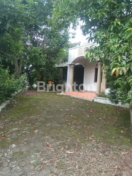 image RUMAH STRATEGIS TEPI JALAN GUNUNG PATI (4)