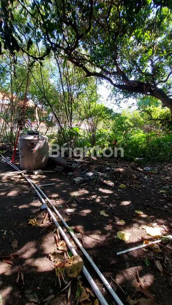 image TANAH  KAVLING LANGKA  6.5 ARE DI UMALAS BALI (2)