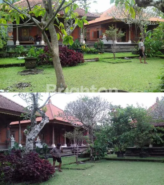 RUMAH BALI MODEL VILLA 7 KAMAR DENGAN LUAS TANAH 50 ARE DEKET JOGER LUWUS & RS SEMARA RATIH DI DEKAT BEDUGUL