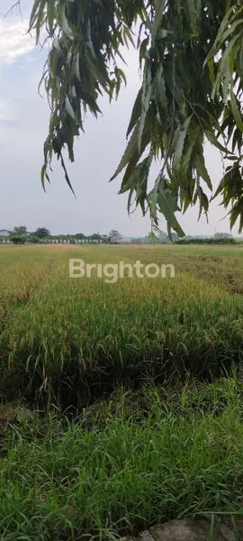 image TANAH BY PASS KRIAN (1)