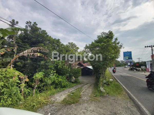 TANAH LUAS BONUS RUMAH HADAP JALAN RAYA WONOSARI YOGYAKARTA