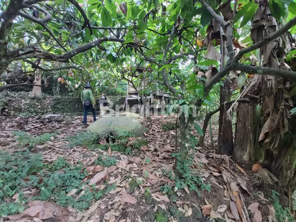 image TANAH LUAS BONUS RUMAH HADAP JALAN RAYA WONOSARI YOGYAKARTA (7)