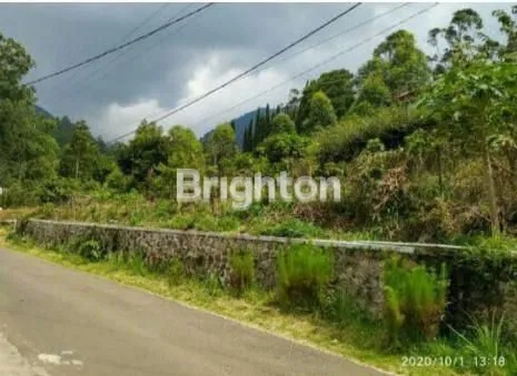 KAVLING GUNUNG PUNTANG VIEW ALAM HARGA MURAH ISTIMEWA