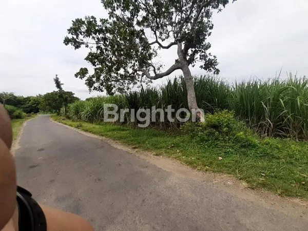 image DIJUAL TANAH COCOK UNTUK PERUMAHAN (1)