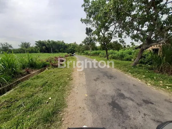 image DIJUAL TANAH COCOK UNTUK PERUMAHAN (3)