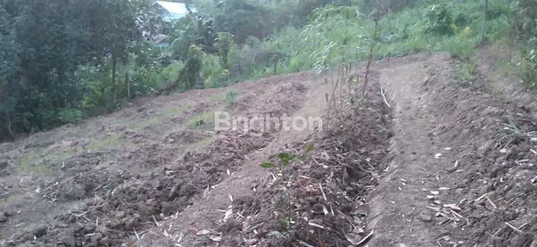 image DIJUAL TANAH RATINDO DALAM JALAN AWS SAMARINDA  (2)