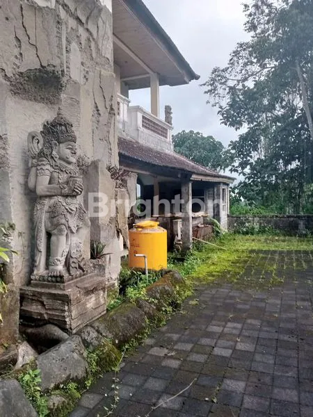 image TANAH DAN BANGUNAN DI DEKAT OBYEK WISATA TABANAN (4)