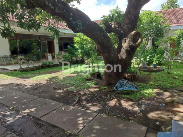 image BANGUNAN LUAS DEKAT LIPPO (4)