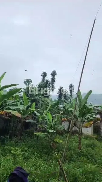 image TANAH PARUNG KUDA SUKABUMI GRATIS RUMAH WALET (4)